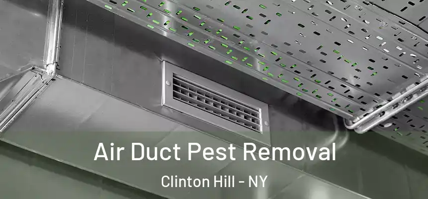 Air Duct Pest Removal Clinton Hill - NY