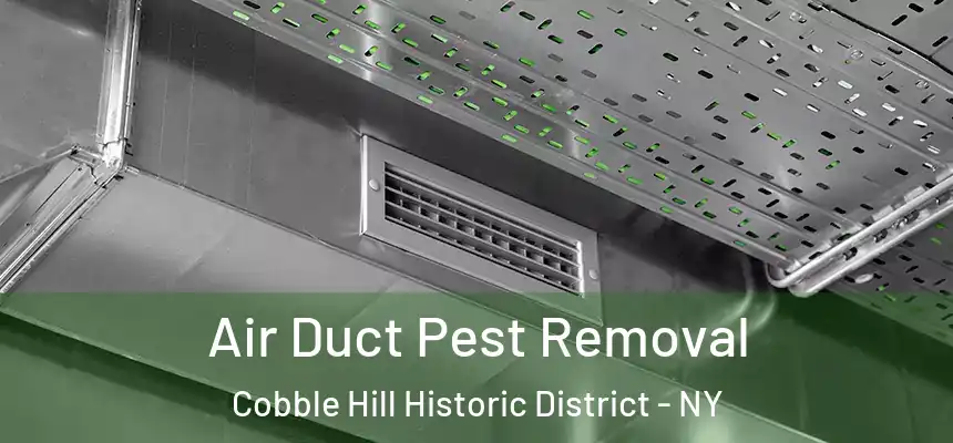 Air Duct Pest Removal Cobble Hill Historic District - NY