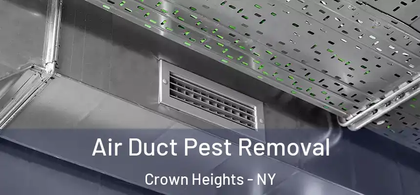 Air Duct Pest Removal Crown Heights - NY