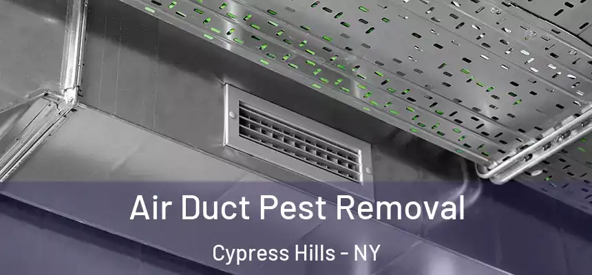 Air Duct Pest Removal Cypress Hills - NY