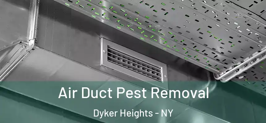 Air Duct Pest Removal Dyker Heights - NY