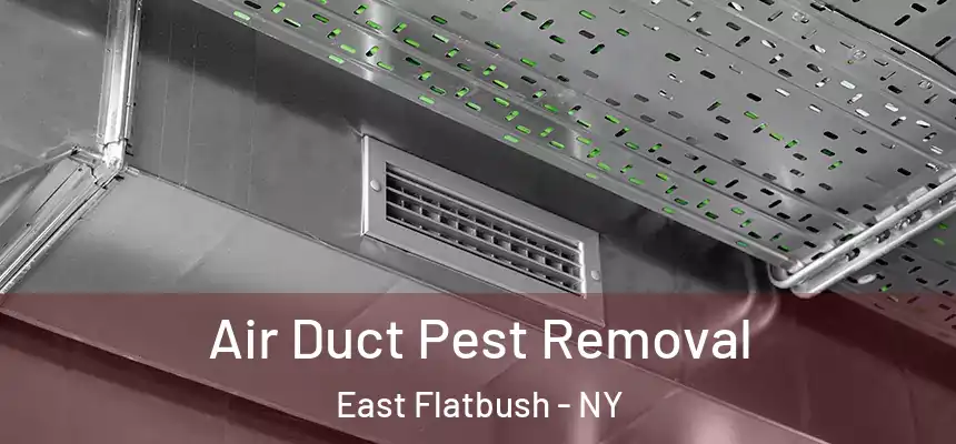 Air Duct Pest Removal East Flatbush - NY