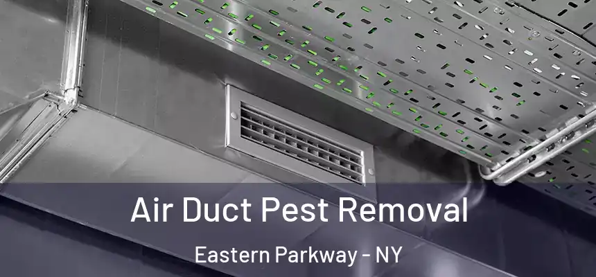 Air Duct Pest Removal Eastern Parkway - NY