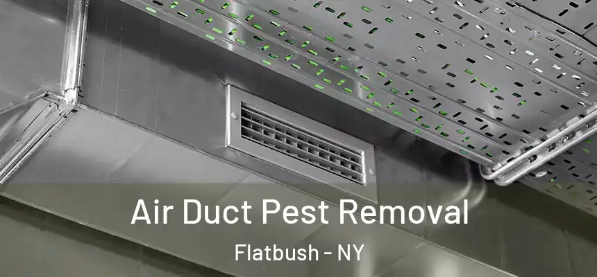 Air Duct Pest Removal Flatbush - NY