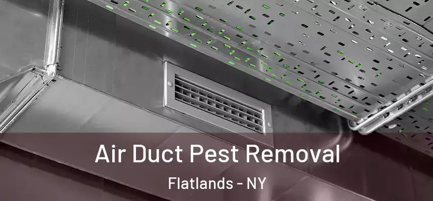 Air Duct Pest Removal Flatlands - NY