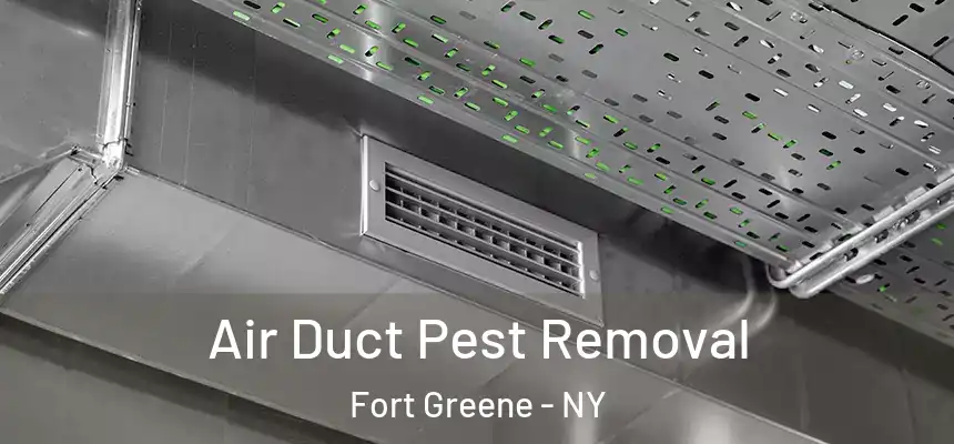 Air Duct Pest Removal Fort Greene - NY