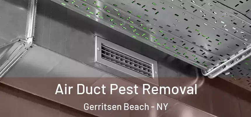 Air Duct Pest Removal Gerritsen Beach - NY