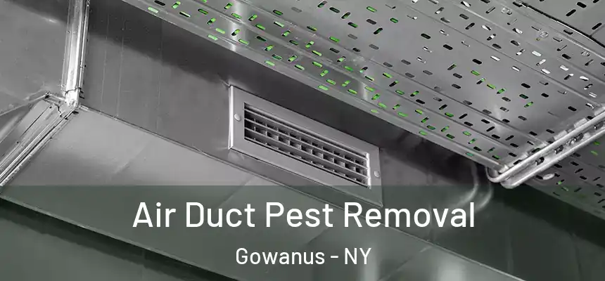 Air Duct Pest Removal Gowanus - NY