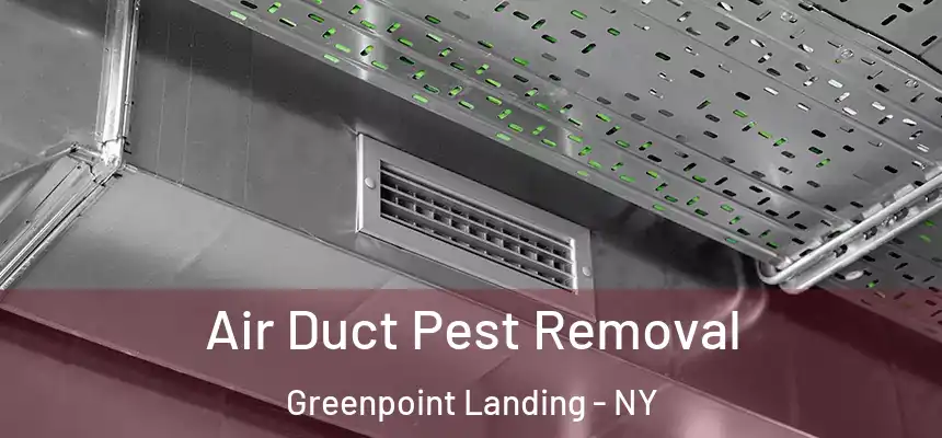 Air Duct Pest Removal Greenpoint Landing - NY
