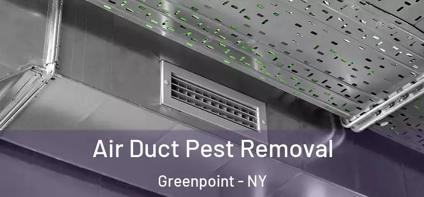 Air Duct Pest Removal Greenpoint - NY