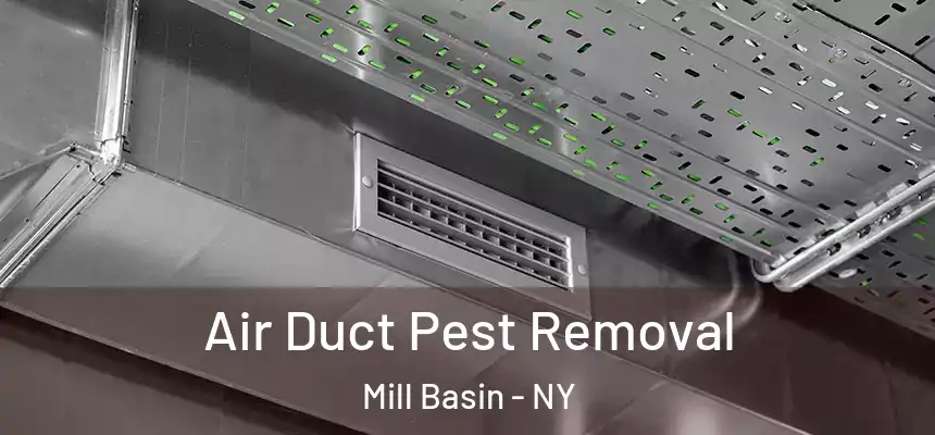 Air Duct Pest Removal Mill Basin - NY