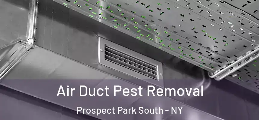 Air Duct Pest Removal Prospect Park South - NY