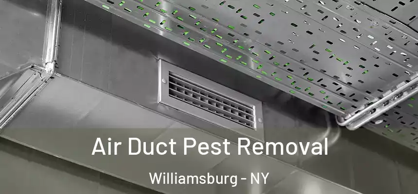 Air Duct Pest Removal Williamsburg - NY