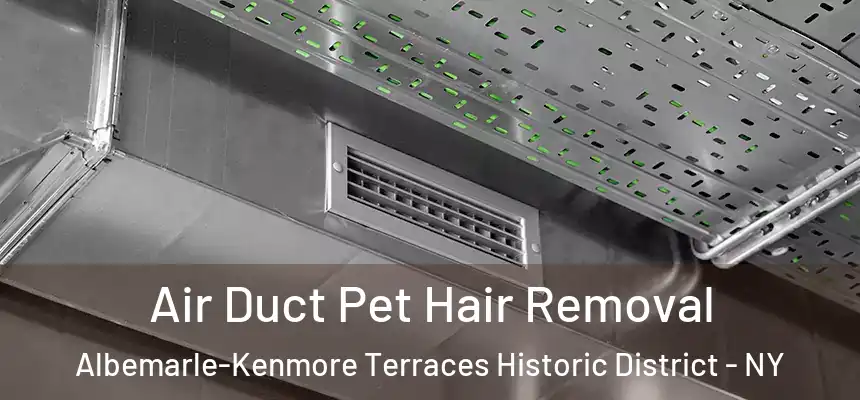 Air Duct Pet Hair Removal Albemarle-Kenmore Terraces Historic District - NY