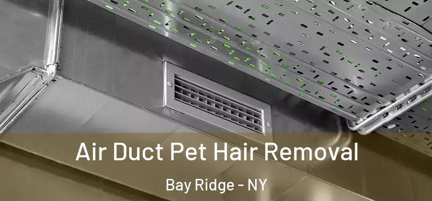 Air Duct Pet Hair Removal Bay Ridge - NY