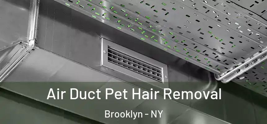 Air Duct Pet Hair Removal Brooklyn - NY