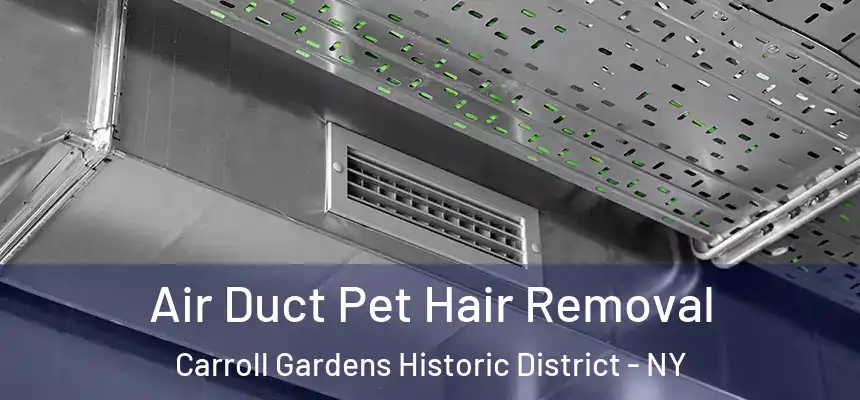 Air Duct Pet Hair Removal Carroll Gardens Historic District - NY