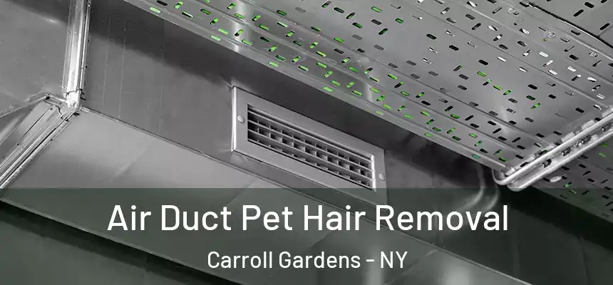Air Duct Pet Hair Removal Carroll Gardens - NY