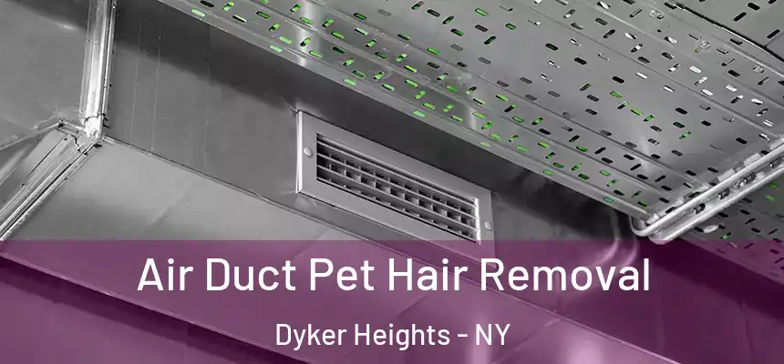 Air Duct Pet Hair Removal Dyker Heights - NY