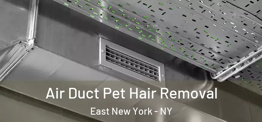 Air Duct Pet Hair Removal East New York - NY