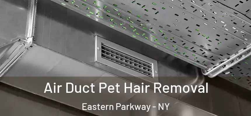 Air Duct Pet Hair Removal Eastern Parkway - NY