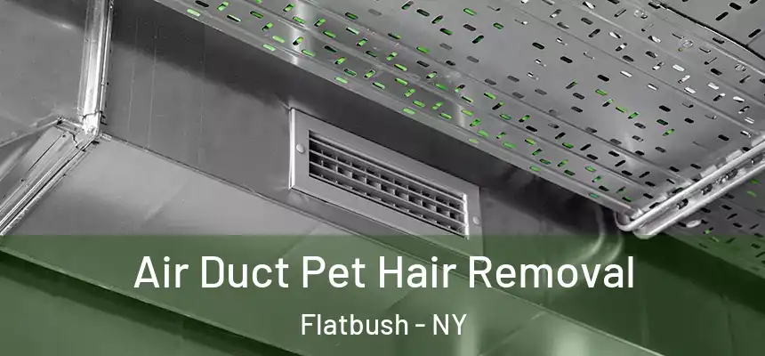 Air Duct Pet Hair Removal Flatbush - NY