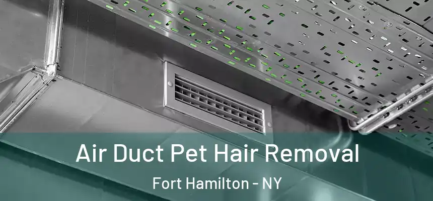 Air Duct Pet Hair Removal Fort Hamilton - NY