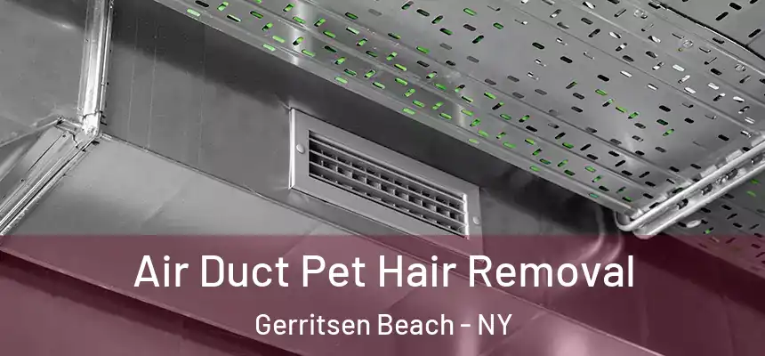 Air Duct Pet Hair Removal Gerritsen Beach - NY