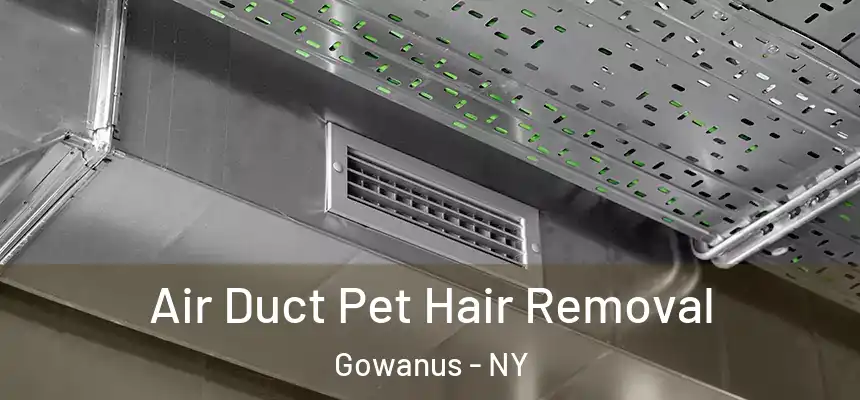  Air Duct Pet Hair Removal Gowanus - NY