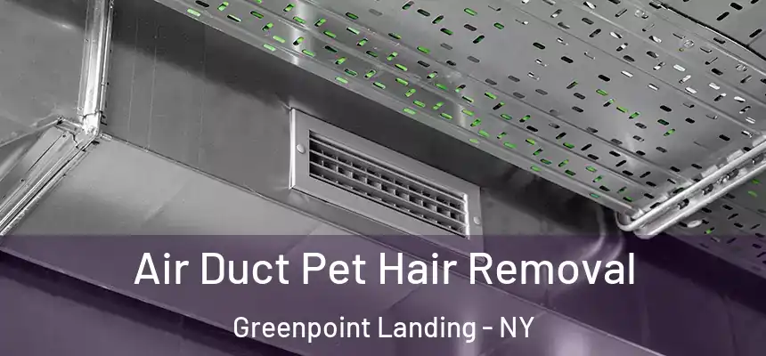 Air Duct Pet Hair Removal Greenpoint Landing - NY