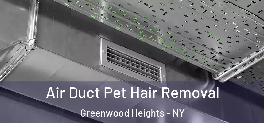 Air Duct Pet Hair Removal Greenwood Heights - NY