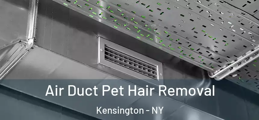 Air Duct Pet Hair Removal Kensington - NY