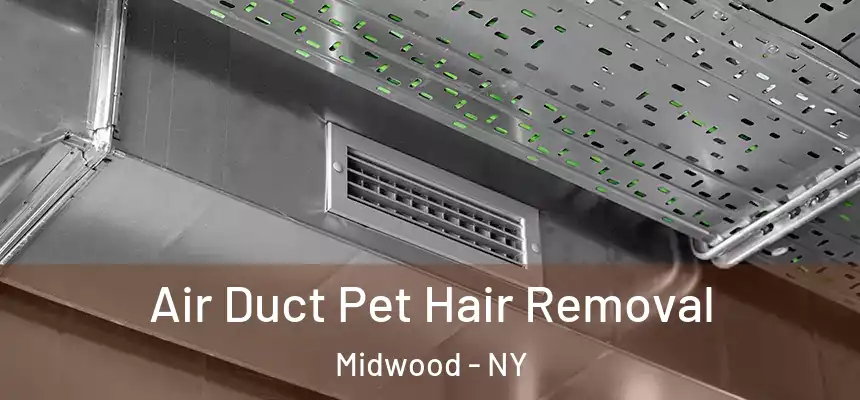 Air Duct Pet Hair Removal Midwood - NY