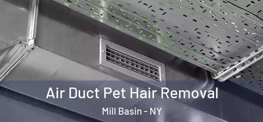  Air Duct Pet Hair Removal Mill Basin - NY