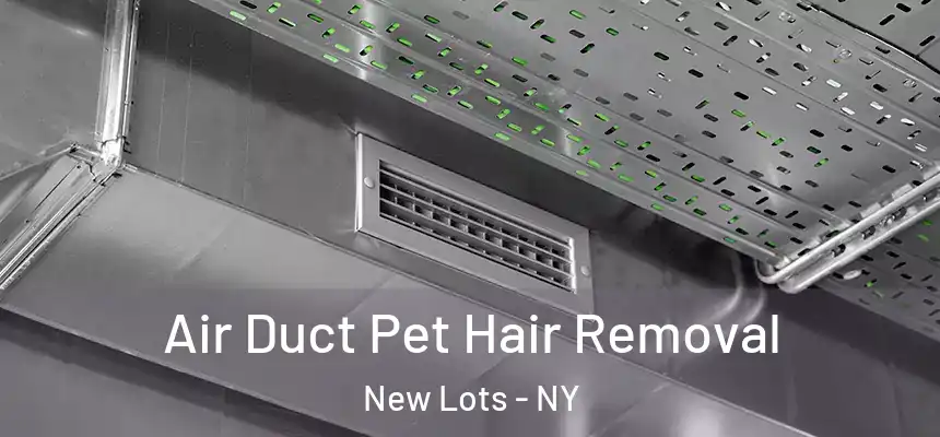  Air Duct Pet Hair Removal New Lots - NY