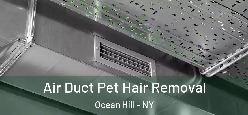  Air Duct Pet Hair Removal Ocean Hill - NY