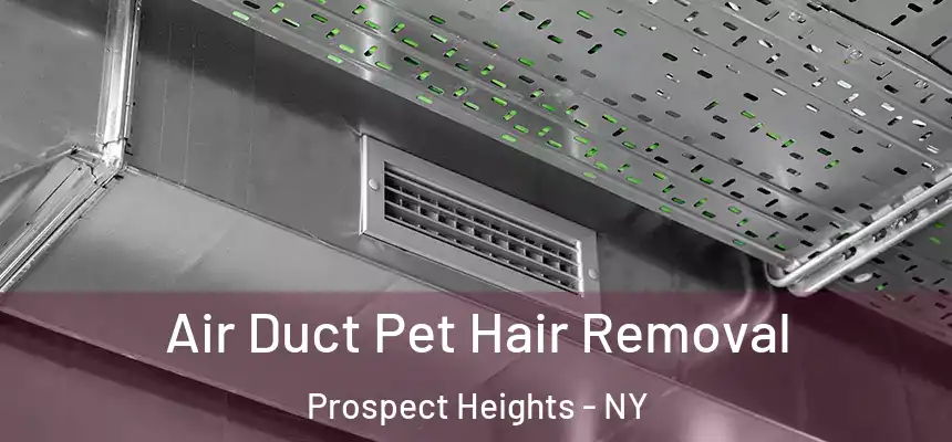 Air Duct Pet Hair Removal Prospect Heights - NY
