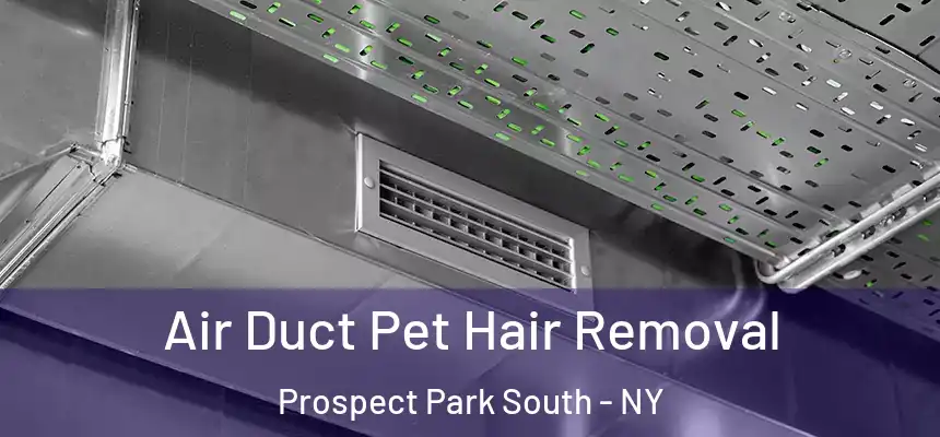 Air Duct Pet Hair Removal Prospect Park South - NY