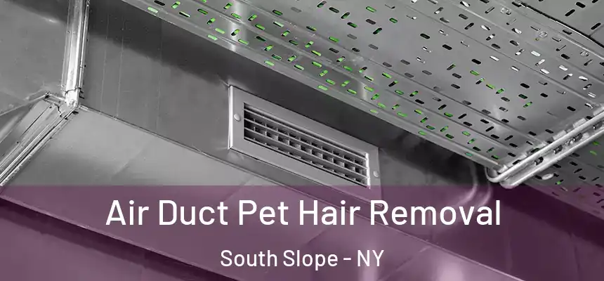  Air Duct Pet Hair Removal South Slope - NY