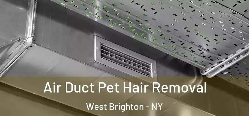 Air Duct Pet Hair Removal West Brighton - NY