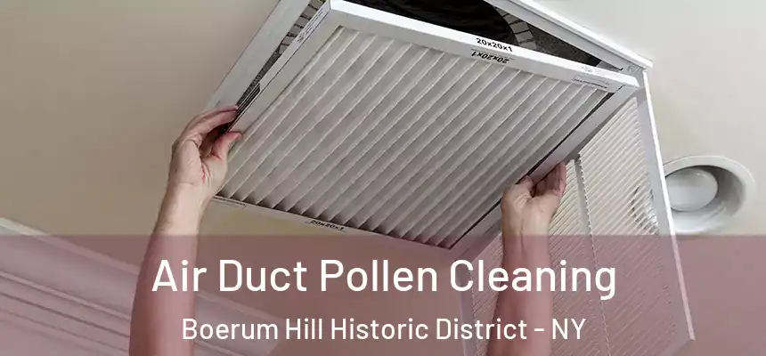 Air Duct Pollen Cleaning Boerum Hill Historic District - NY