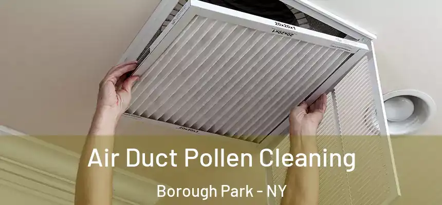 Air Duct Pollen Cleaning Borough Park - NY