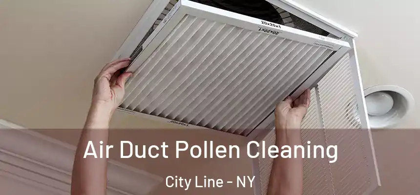 Air Duct Pollen Cleaning City Line - NY