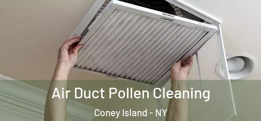 Air Duct Pollen Cleaning Coney Island - NY