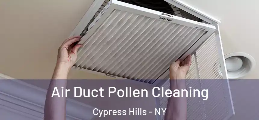 Air Duct Pollen Cleaning Cypress Hills - NY