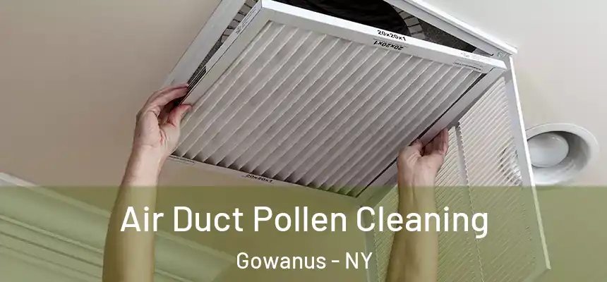  Air Duct Pollen Cleaning Gowanus - NY