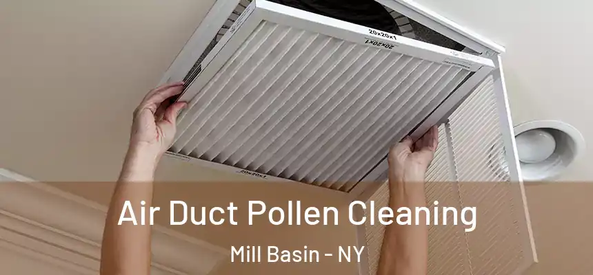 Air Duct Pollen Cleaning Mill Basin - NY