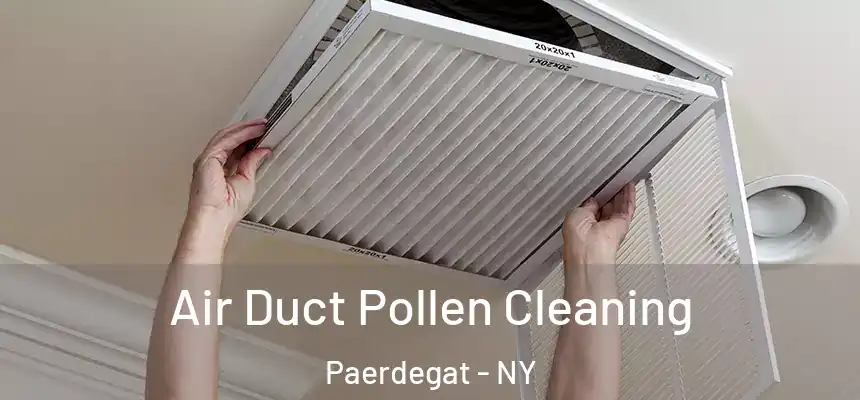 Air Duct Pollen Cleaning Paerdegat - NY