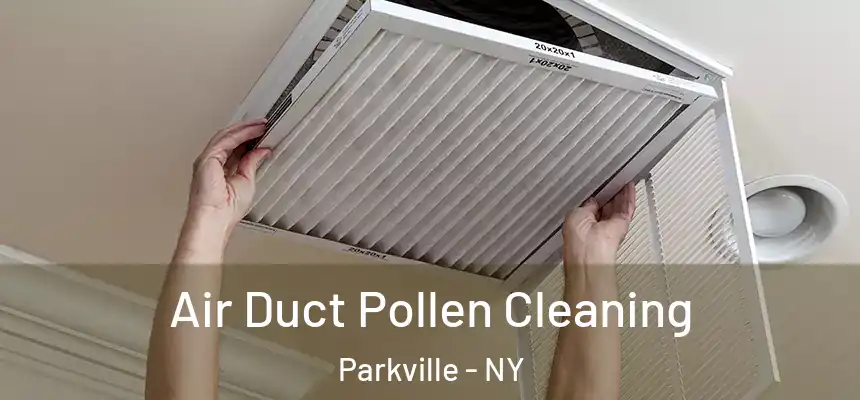 Air Duct Pollen Cleaning Parkville - NY