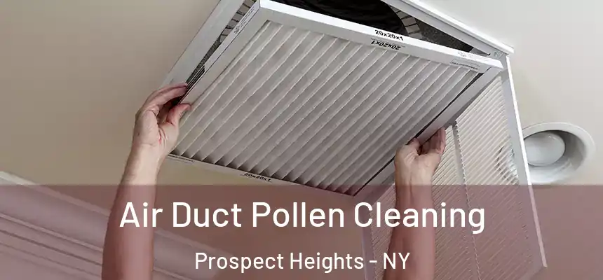 Air Duct Pollen Cleaning Prospect Heights - NY